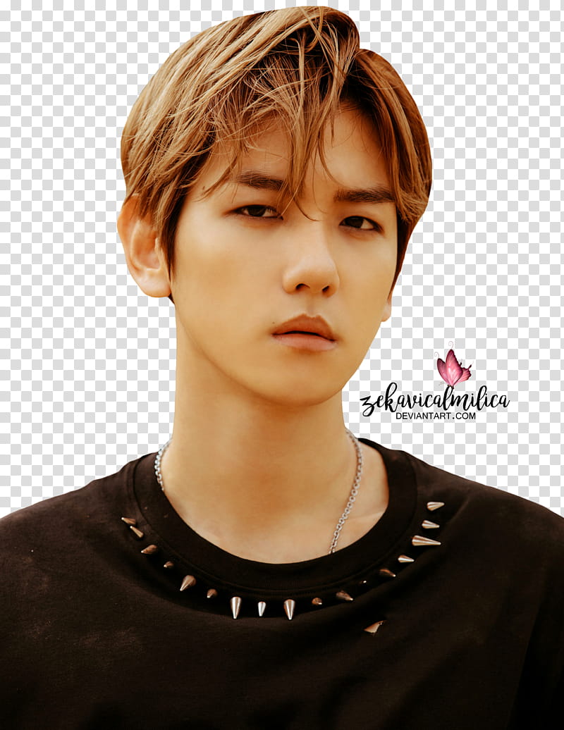 EXO Baekhyun Don t Mess Up My Tempo transparent background PNG clipart