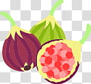 The icons of fruits, fruits-icon- transparent background PNG clipart