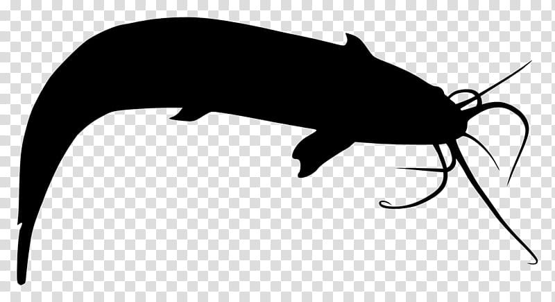 Whale, Farm, Engineering, Poultry, Vegetable, Delivery, Company, Silhouette transparent background PNG clipart