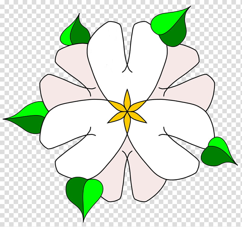 Symetric Blumen handgezeichnet Svg und, white, green, and gray petaled flower illustration transparent background PNG clipart