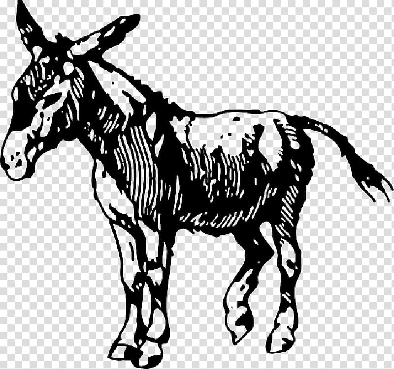 Donkey, Mule, Drawing, Animal Figure, Burro, Horse, Line Art, Mane transparent background PNG clipart