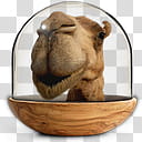 Sphere   the new variation, camel cloche decor transparent background PNG clipart