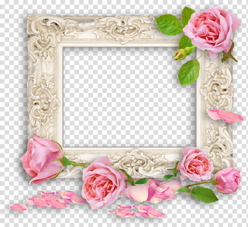 Pink Flower Frame, BORDERS AND FRAMES, Frames, Rose, Roses Frame, Paper, Mirror, Garden Roses transparent background PNG clipart