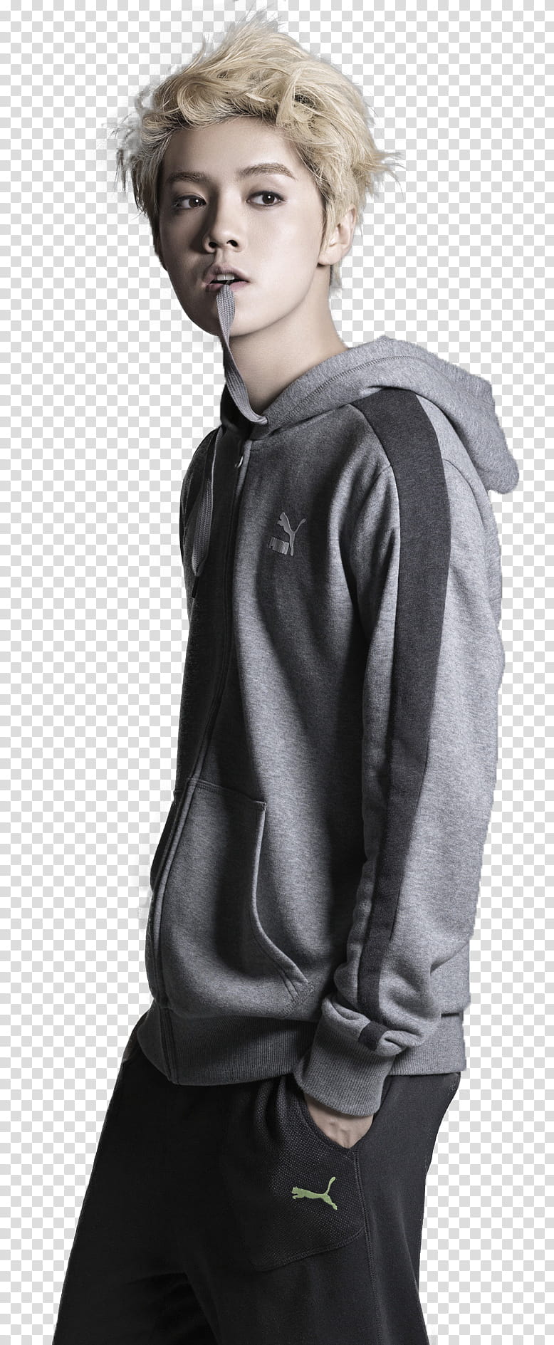 Luhan , man wearing gray pullover hoodie transparent background PNG clipart