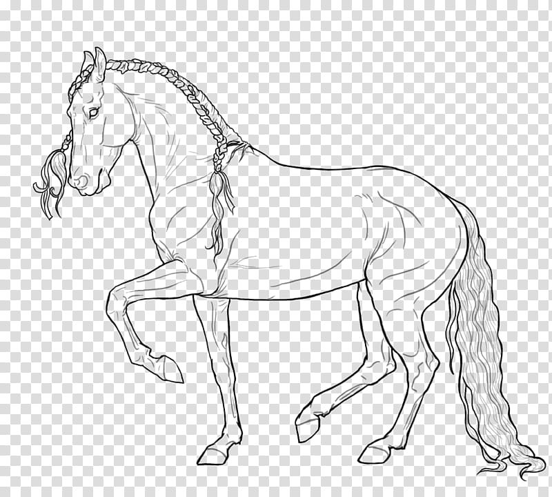 Ferrovia FREE LINEART, black horse transparent background PNG clipart