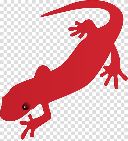 gecko true salamanders and newts lizard newt, Tail, Reptile transparent background PNG clipart