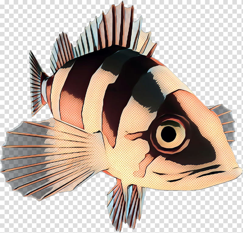 Fish, Pomacentridae, Anemone Fish, Butterflyfish, Bonyfish transparent background PNG clipart