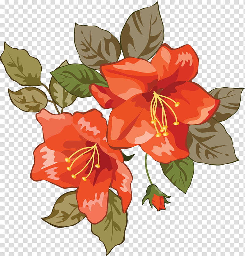 Lily Flower, Floral Design, Cut Flowers, Jersey Lily, Flower Bouquet, Petal, Orange Sa, Belladonna transparent background PNG clipart