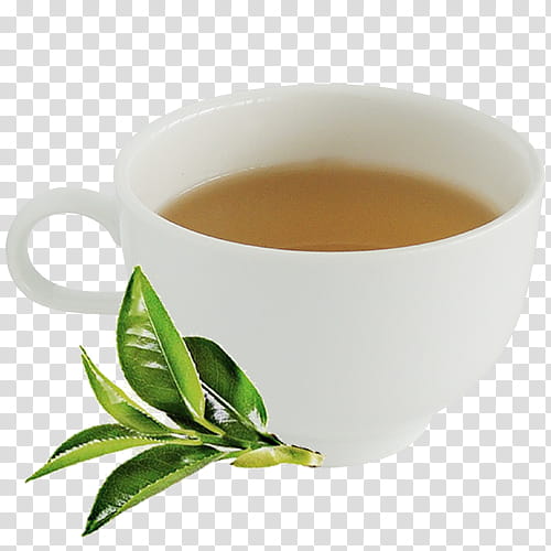 Milk Tea, Green Tea, Assam Tea, Oolong, Earl Grey Tea, Mate Cocido, Tea Plant, Drink transparent background PNG clipart