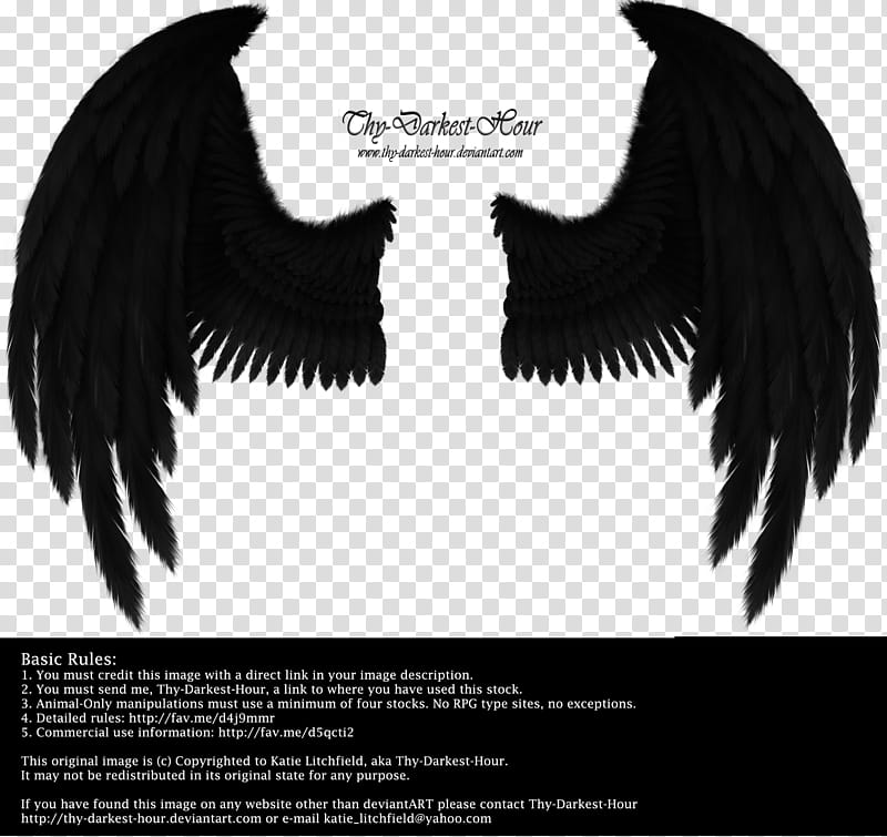 Winged Fantasy Black, Thy Darkest Hour text transparent background PNG clipart