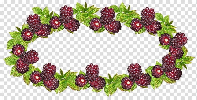 Fruit, Boysenberry, Berries, Jam, Raspberry, Loganberry, Red Raspberry, Can transparent background PNG clipart