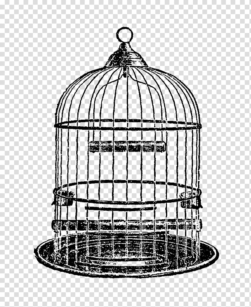 Download Free Vintage Bird Cage Clip Art Image No - Vintage Bird Cage  Drawing - Free Transparent PNG Clipart Images Download