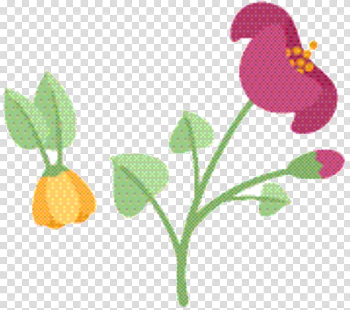 Sweet Pea Flower, Plant Stem, Leaf, Petal, Fruit, Plants, Pedicel, Sweet Peas transparent background PNG clipart Sweet Pea Flower, Plant Stem, Leaf, Petal, Fruit, Plants, Pedicel, Sweet Peas transparent background PNG clipart
