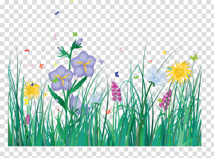 Watercolor Flower, Flower Bouquet, Poppy, Grass, Plant, Meadow, Wildflower, Grass Family transparent background PNG clipart
