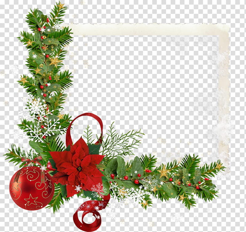 Christmas And New Year, Joulukukka, Poinsettia, Christmas Day, Christmas Ornament, Christmas Plants, Christmas Decoration, Christmas Card transparent background PNG clipart