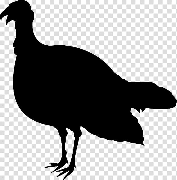 Bird Silhouette, Black And White
, Beak, Flightless Bird, Fowl, Cassowary, Tail, Pheasant transparent background PNG clipart