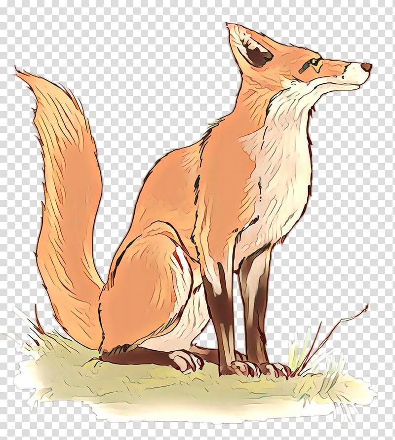 Kangaroo, RED Fox, Cartoon, Fox News, Fennec Fox, Swift Fox, Wildlife, Dhole transparent background PNG clipart