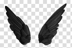 BLACK RESOURCESFORBITCHES, gray angel wings illustratio transparent background PNG clipart
