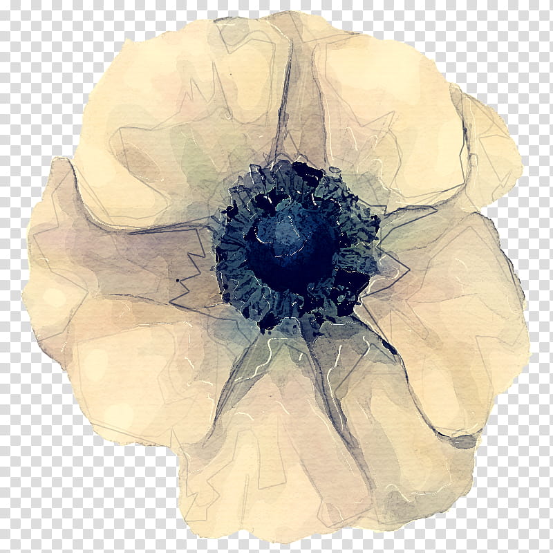 Blue Watercolor Flowers, Anemone, Cut Flowers, Drawing, Watercolor Painting, White, Petal, Beige transparent background PNG clipart