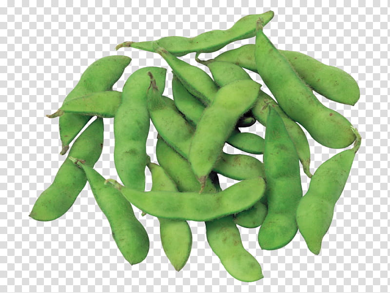 Vegetable, Snap Pea, Edamame, Green Pea, Bean, Food, Legume, Broad Bean transparent background PNG clipart