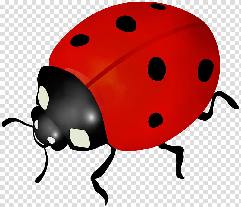 Ladybird, Ladybird Beetle, Leaf Beetles, Elm Leaf Beetle, Chrysomela Vigintipunctata, Chrysolina Cerealis, Drawing, Cartoon transparent background PNG clipart