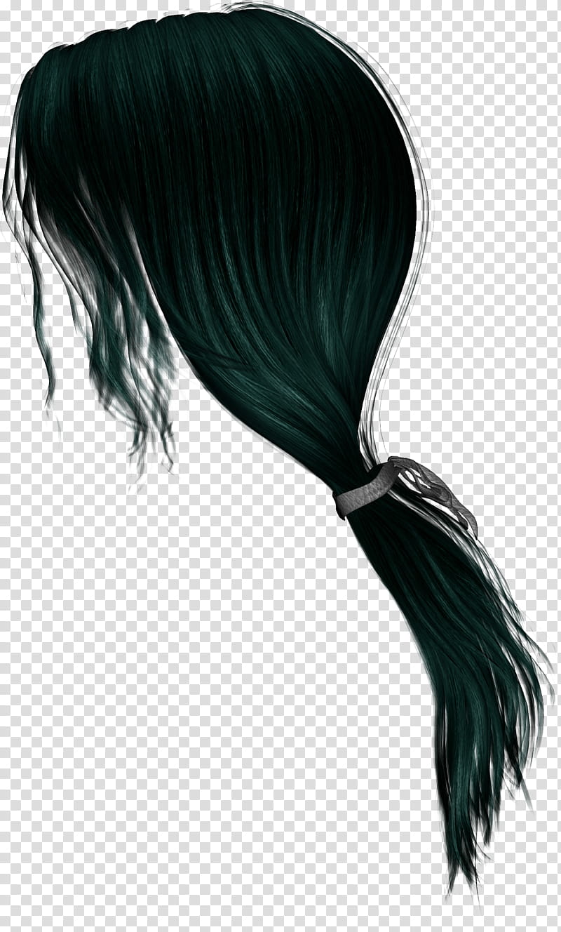 Hairstylez , long black ponytail hair illustration transparent background PNG clipart