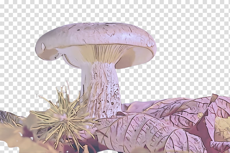 mushroom agaricaceae violet agaricomycetes agaricus, Edible Mushroom, Fungus, Russula Integra, Plant transparent background PNG clipart