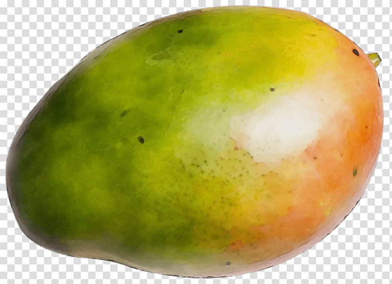 Mango, Watercolor, Paint, Wet Ink, Fruit, Food, Plant, Mangifera transparent background PNG clipart
