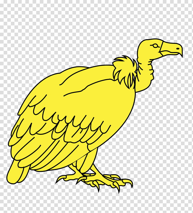 Bird Line Drawing, Beak, Vulture, Black Vulture, Turkey Vulture, Display Resolution, Line Art, transparent background PNG clipart