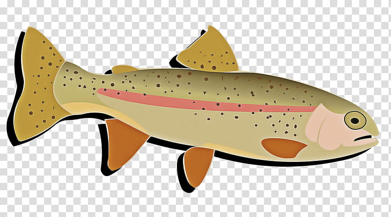 fish brown trout fish trout salmon, Cutthroat Trout, Salmonlike Fish, Coho, Bonyfish, Rayfinned Fish transparent background PNG clipart