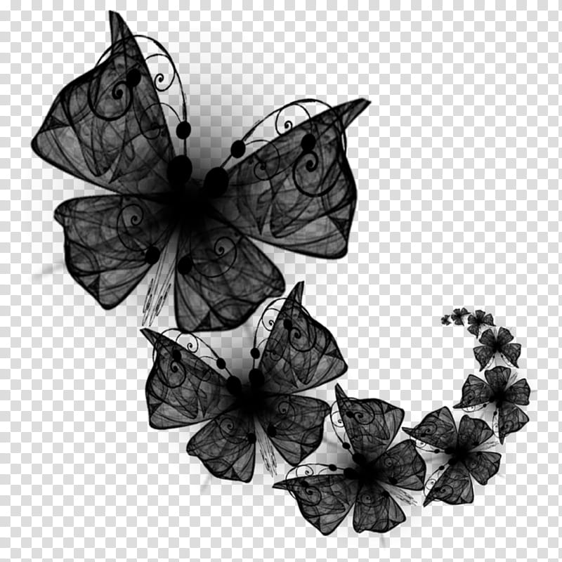 Tiger, Monarch Butterfly, Brushfooted Butterflies, Moth, Symmetry, Tiger Milkweed Butterflies, Black, Blackandwhite transparent background PNG clipart