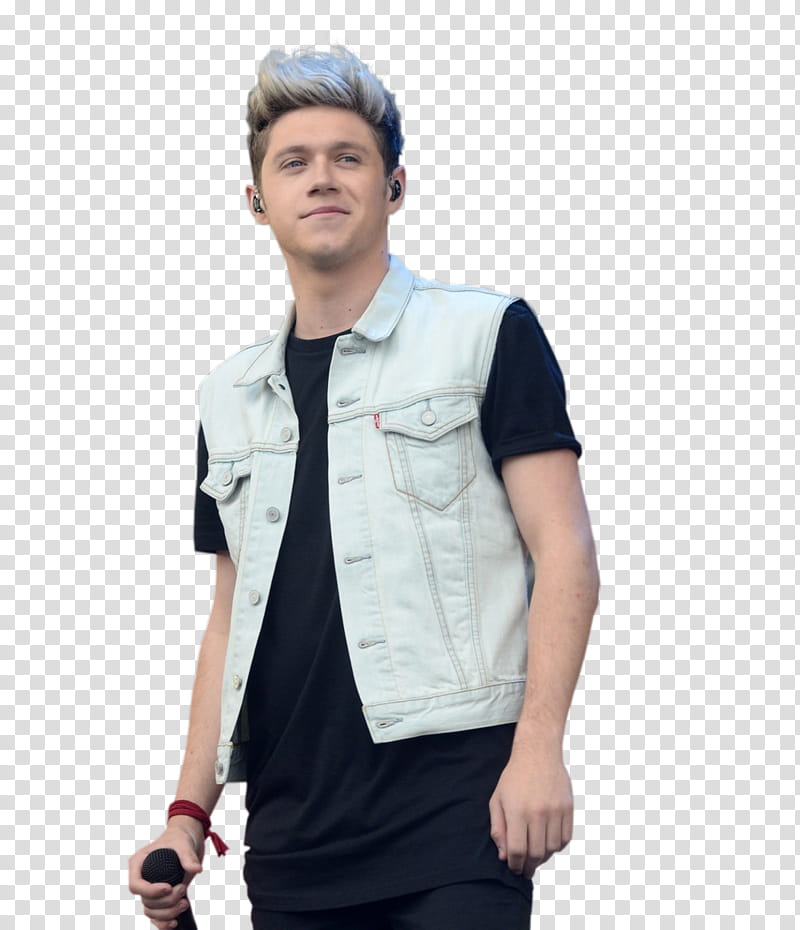 Niall Horan HD transparent background PNG clipart