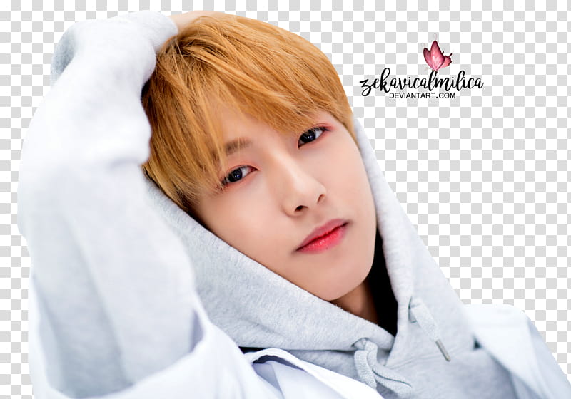 NCT Dream Renjun We Go Up x Naver transparent background PNG clipart