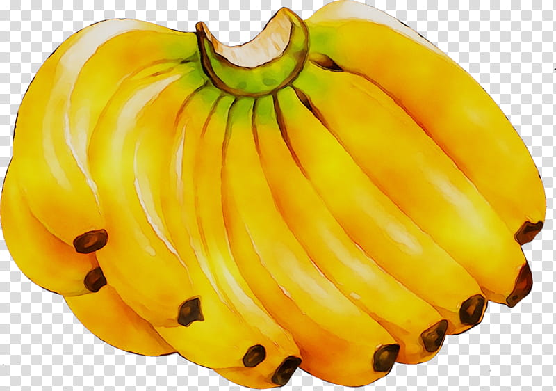 Drawing Of Family, Banana, Banana Chip, Fruit, Plantain, Cooking Banana, Banana Family, Yellow transparent background PNG clipart