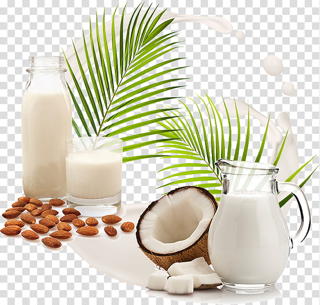 Oil, Coconut Milk, Almond Milk, Coconut Water, Plant Milk, Nata De Coco, Soy Milk, Coconut Oil transparent background PNG clipart