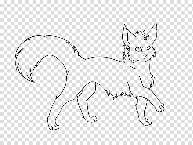 Fluffy Cat Line Art Free transparent background PNG clipart