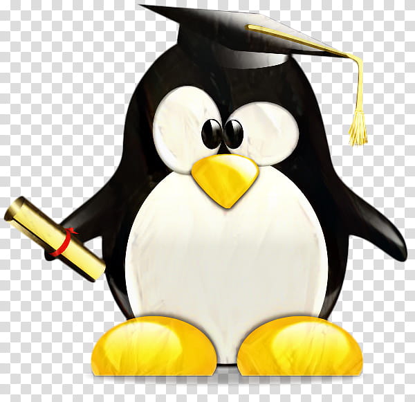 Graduation, Penguin, Graduate University, Graduation Ceremony, School
, Diploma, Graduate Diploma, Education transparent background PNG clipart