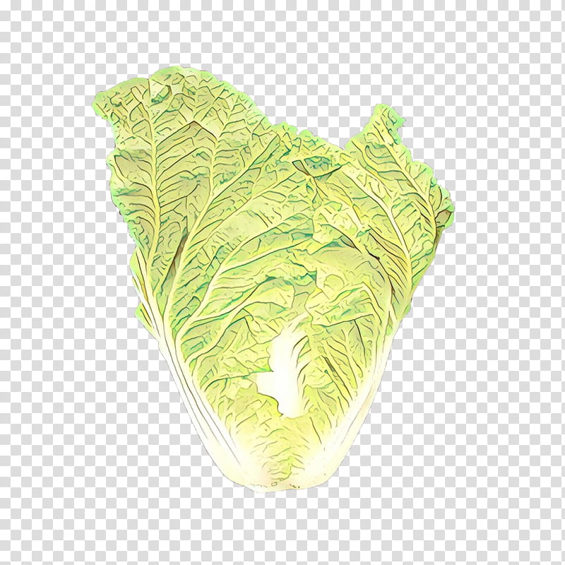 leaf green cabbage plant vegetable, Cartoon, Anthurium, Lettuce, Chinese Cabbage, Romaine Lettuce, Leaf Vegetable transparent background PNG clipart