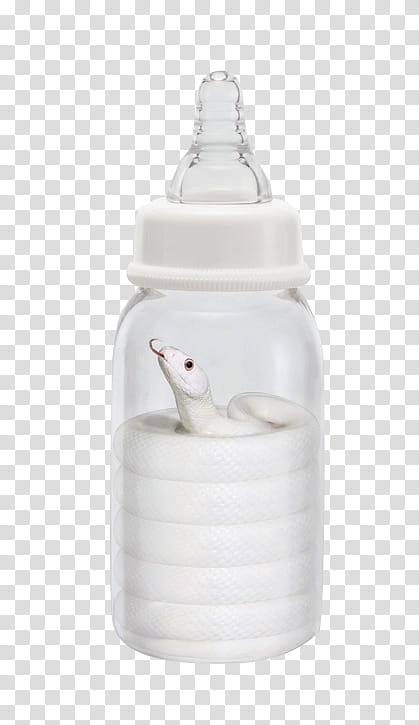 Baby Bottle, Water Bottles, Baby Bottles, Glass Bottle, Milk, Lid, Drinkware transparent background PNG clipart