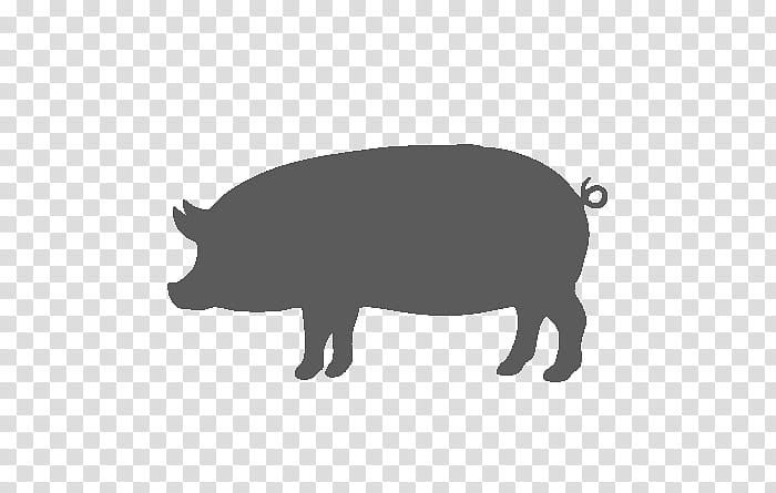 Pig, Domestic Pig, Pork, Springcm, Restaurant, Mammal, Salesforcecom, Beef transparent background PNG clipart