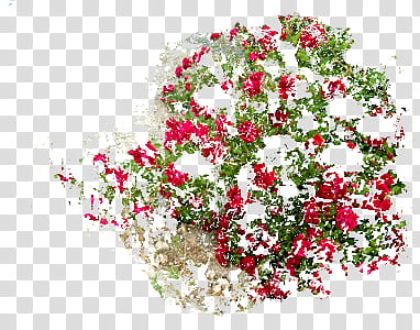 Distorted Flowers transparent background PNG clipart