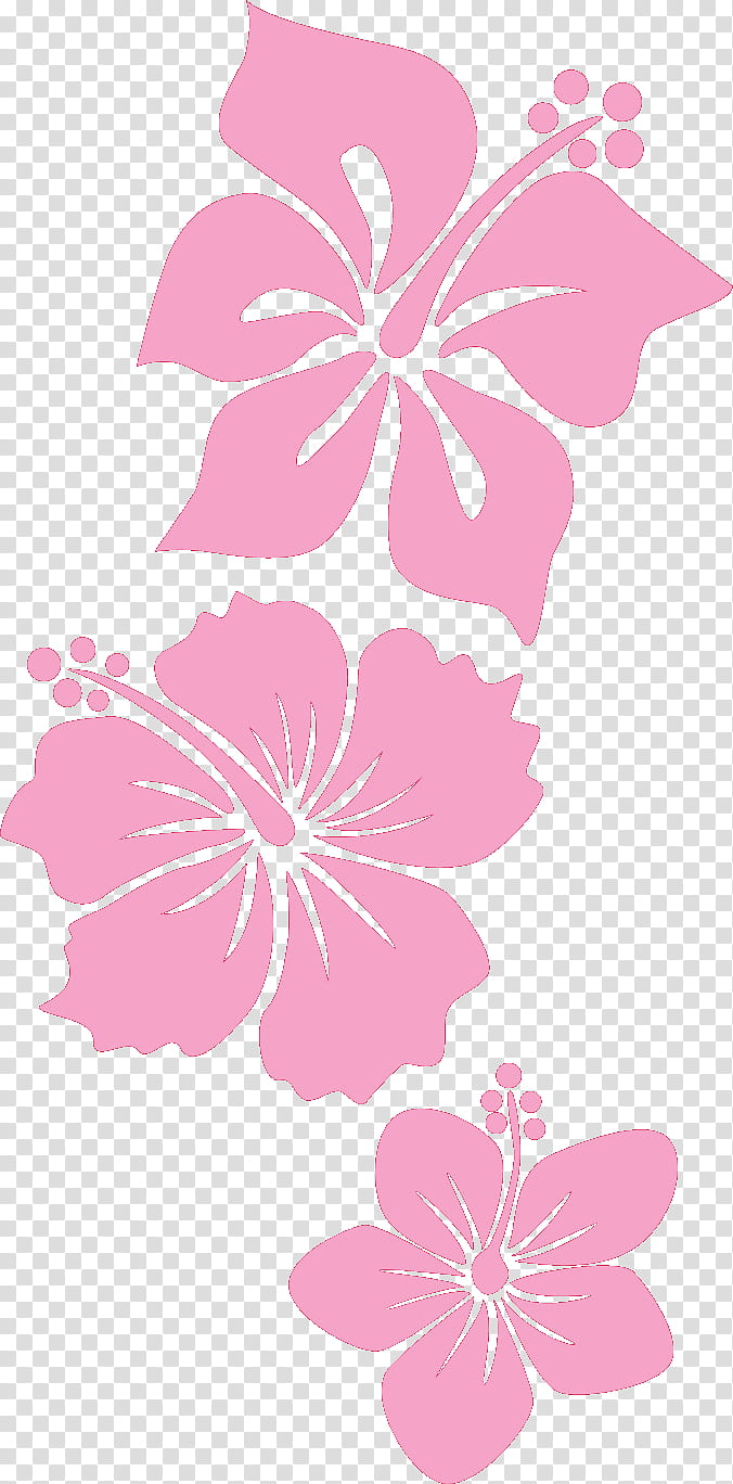 flower border flower background floral line, Hibiscus, Hawaiian Hibiscus, Pink, Petal, Plant, Chinese Hibiscus, Mallow Family transparent background PNG clipart