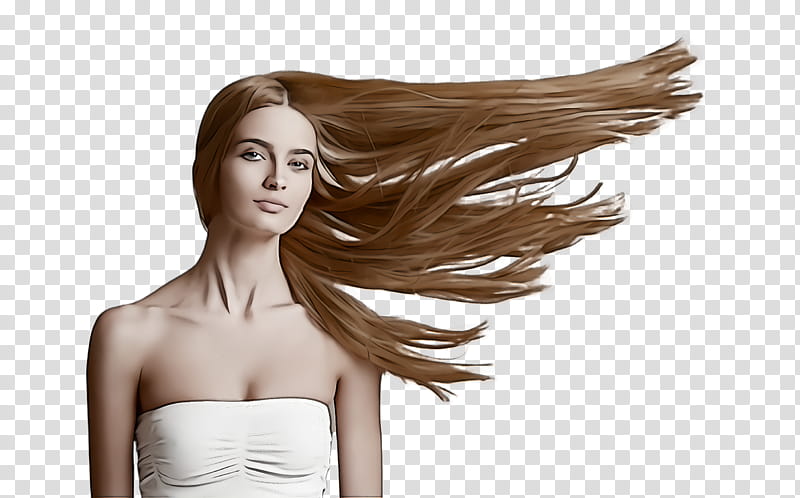 hair blond skin hairstyle hair coloring, Beauty, Long Hair, Brown Hair, Layered Hair, Lace Wig transparent background PNG clipart