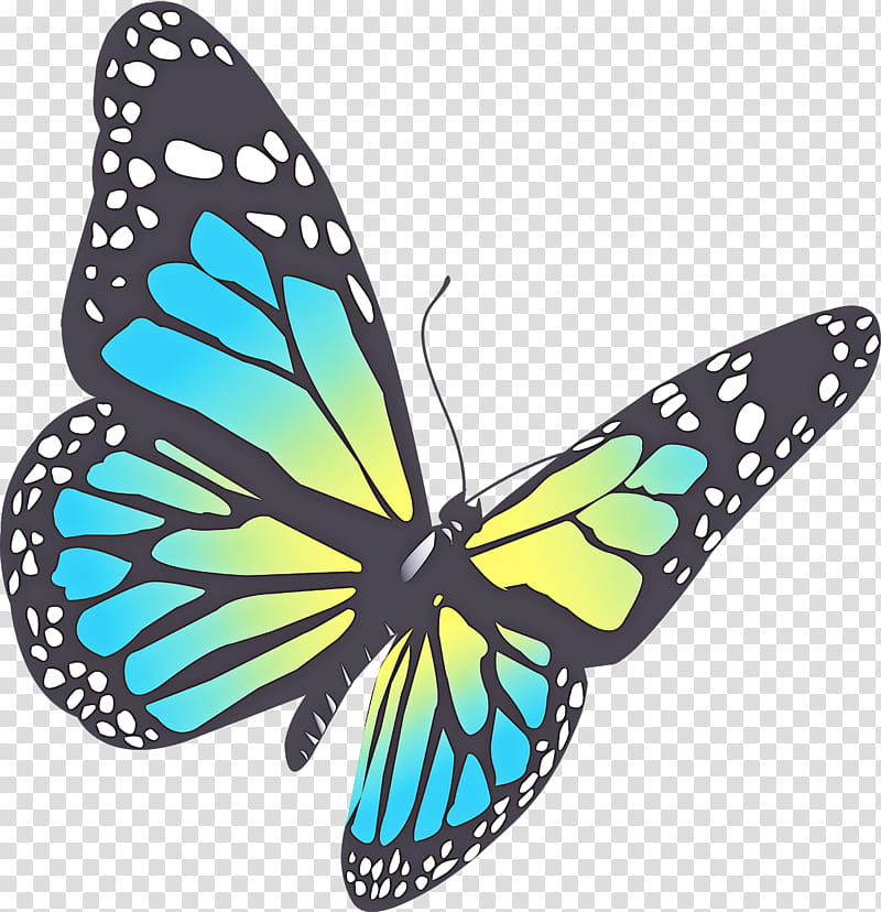 Monarch butterfly, Moths And Butterflies, Insect, Brushfooted Butterfly, Pollinator, Lycaenid transparent background PNG clipart