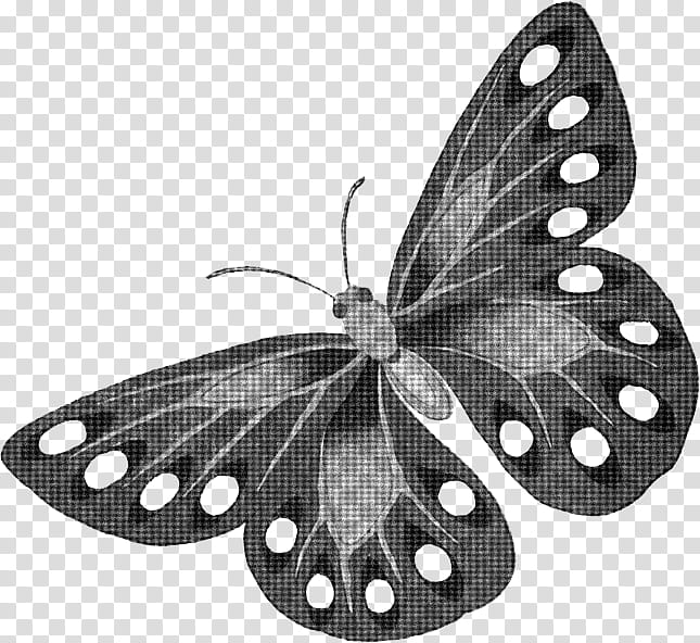 PassingTime PS Brushes, gray butterfly illustration transparent background PNG clipart