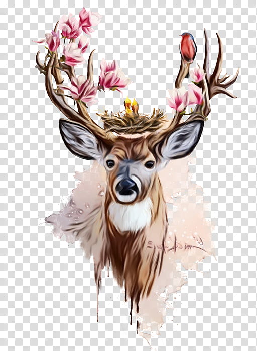 Reindeer, Watercolor, Paint, Wet Ink, Antler, Horn, Head, Wildlife, Elk, Fur transparent background PNG clipart