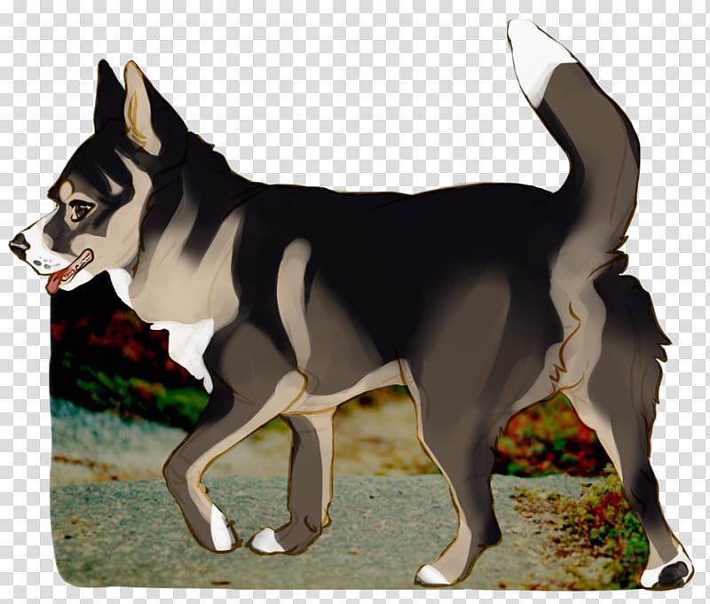 Bear, Siberian Husky, Saarloos Wolfdog, Alaskan Malamute, Sakhalin Husky, Karelian Bear Dog, Lapponian Herder, East Siberian Laika transparent background PNG clipart