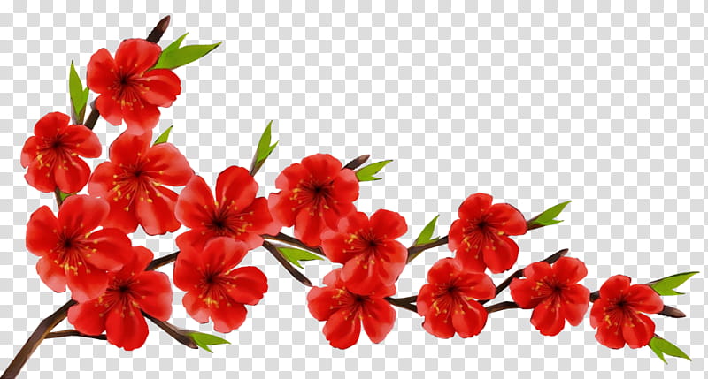 Floral Spring Flowers, Branch, Floral Design, Cherry Blossom, Petal, Spring
, Cut Flowers, Red transparent background PNG clipart