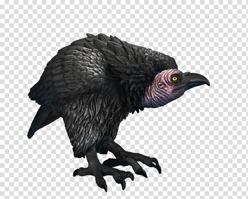 Vulture, black vulture art transparent background PNG clipart