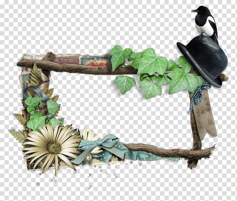 Ivy, Blog, Molding, Frames, Scrapbooking, Digital Art, Plant, Hummingbird transparent background PNG clipart